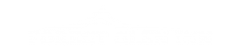 FGI HOTEL